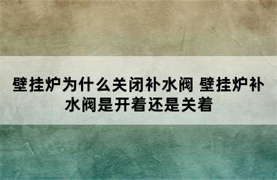 壁挂炉为什么关闭补水阀 壁挂炉补水阀是开着还是关着